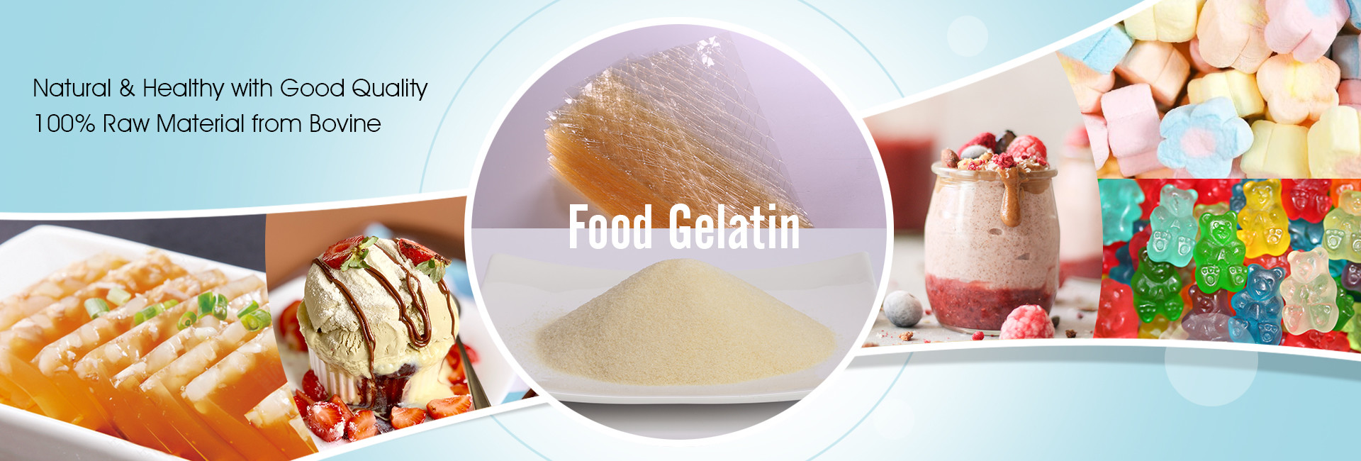 qualità Gelatina fabbrica